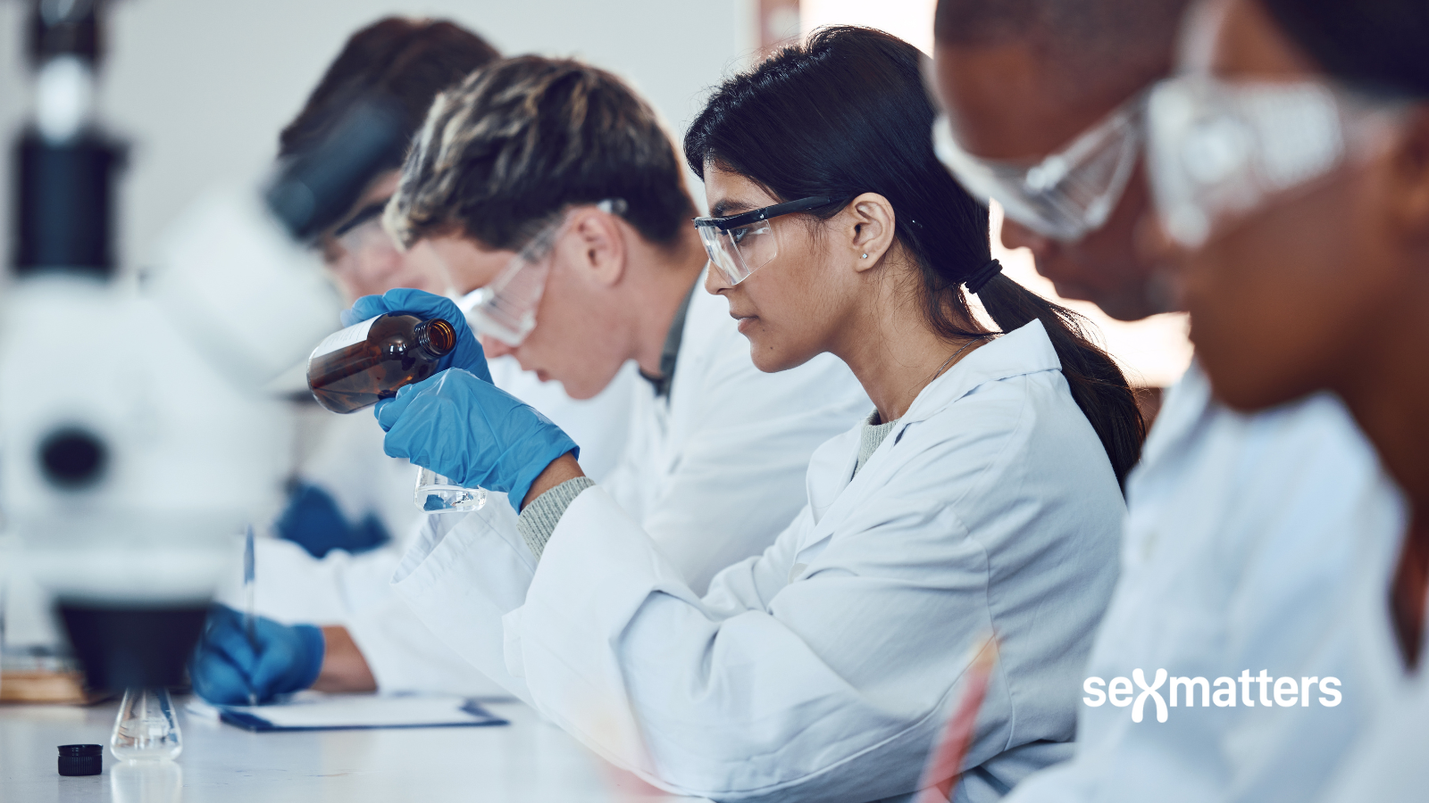Science – scientists at work
