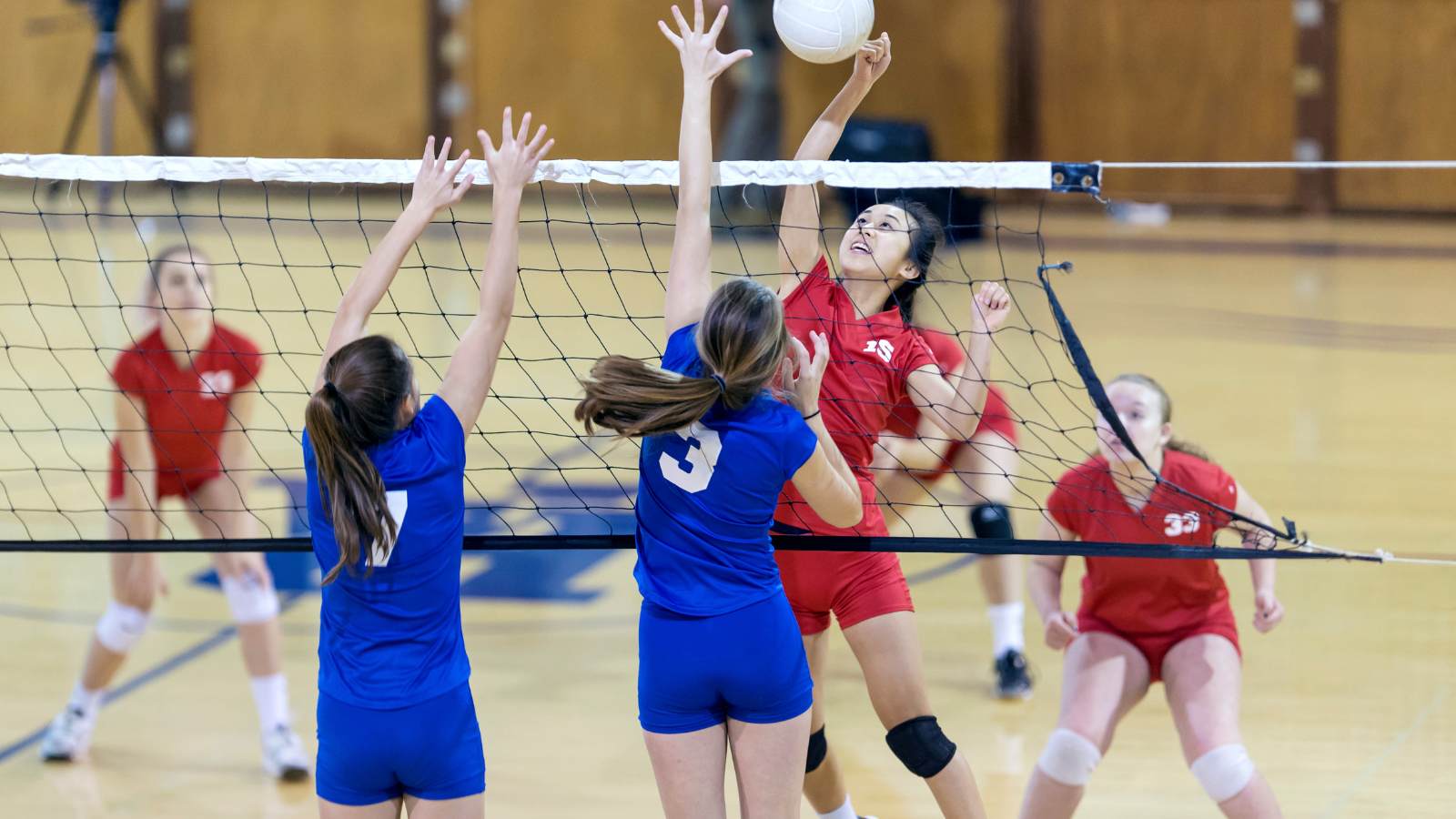 Women playing volleyball