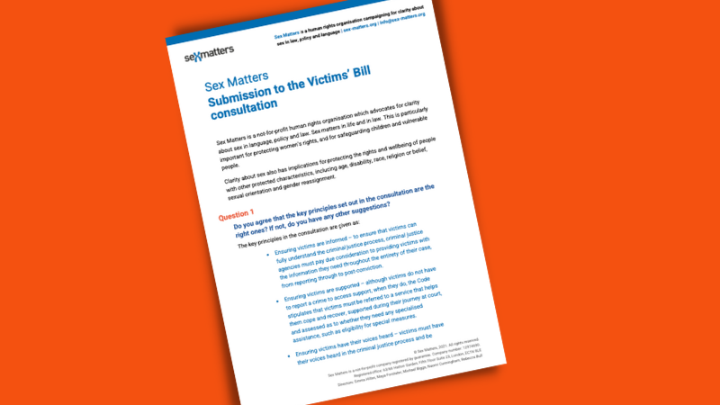 Submission to the Victims' Bill consultation